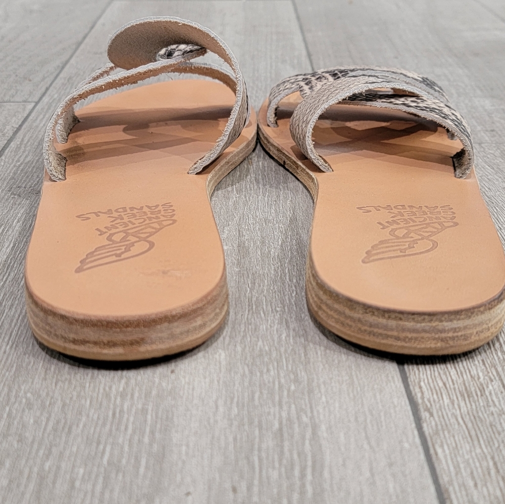 Ancient Greek Sandals Desmos snake effect slides 36 - Picture 3 of 5